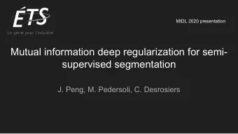 Mutual information deep regularization for semi-  supervised segmentation  J. Peng, M. Pedersoli,