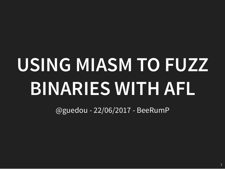 using miasm to fuzz binaries with afl