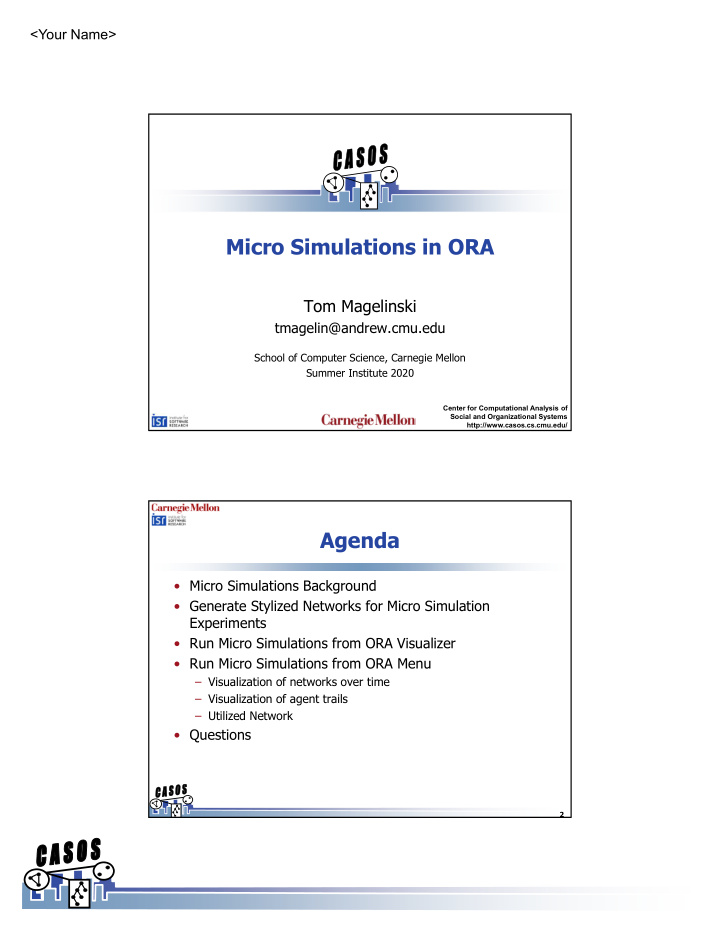 micro simulations in ora