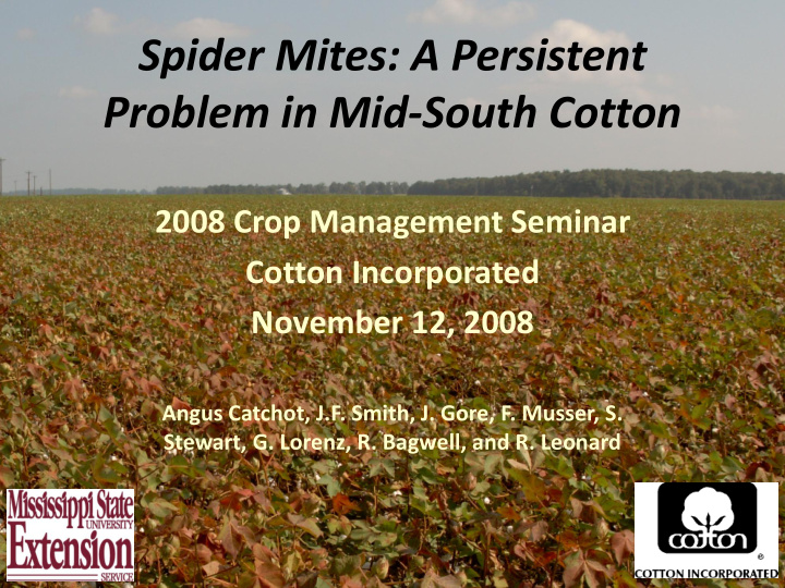 problem in mid south cotton