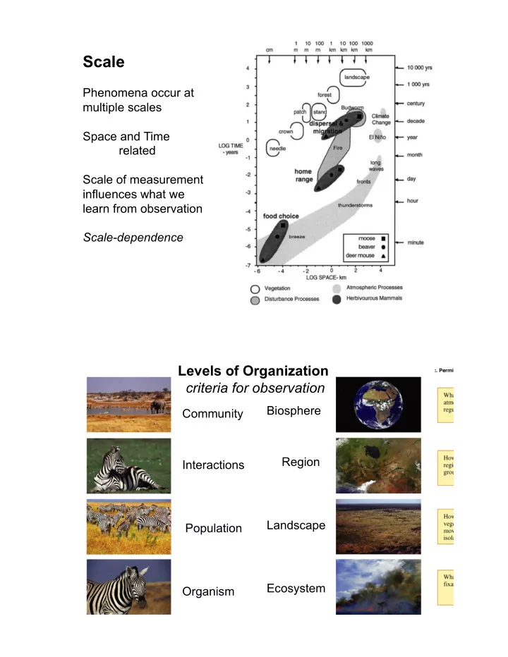 scale and level approach are different approach