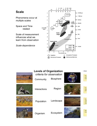 Scale and level  (approach) are  different!  Approach determines  criteria for observation:  scale