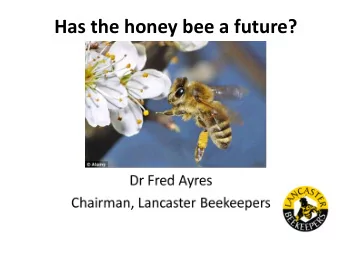 Has the honey bee a future?  Some facts about honey bees  Pollinate 60% of all commercial crops