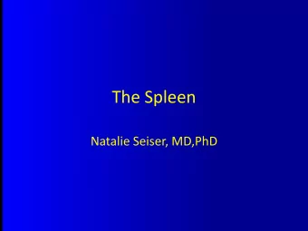 The Spleen  Natalie Seiser, MD,PhD  Anatomy:  Normal size: 12x7 cm, 3-4 cm thick, ~150 gm