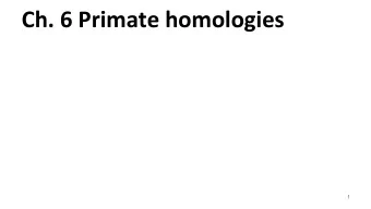 Ch. 6 Primate homologies  1  Overview of the primates  -Found in tropics/semi-tropics  2  TL;DR