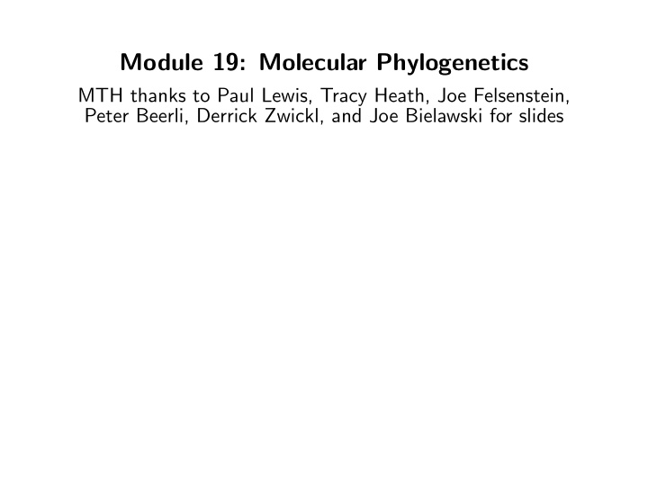 module 19 molecular phylogenetics