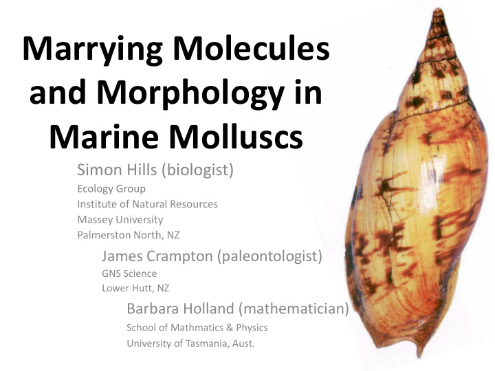 marine molluscs