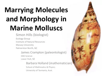 Marine Molluscs  Simon Hills (biologist)  Ecology Group  Institute of Natural Resources  Massey