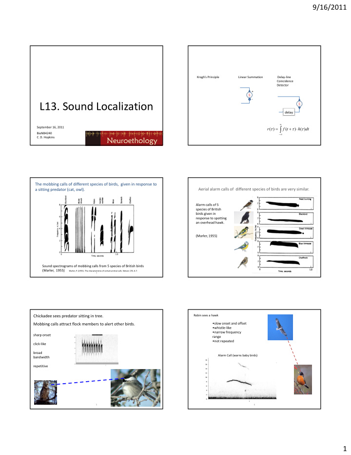 l13 sound localization