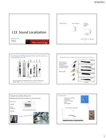 L13. Sound Localization    delay   September 16, 2011      =  +        r  (  )  f