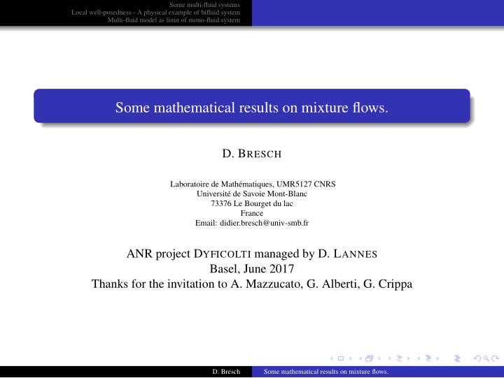 some mathematical results on mixture flows