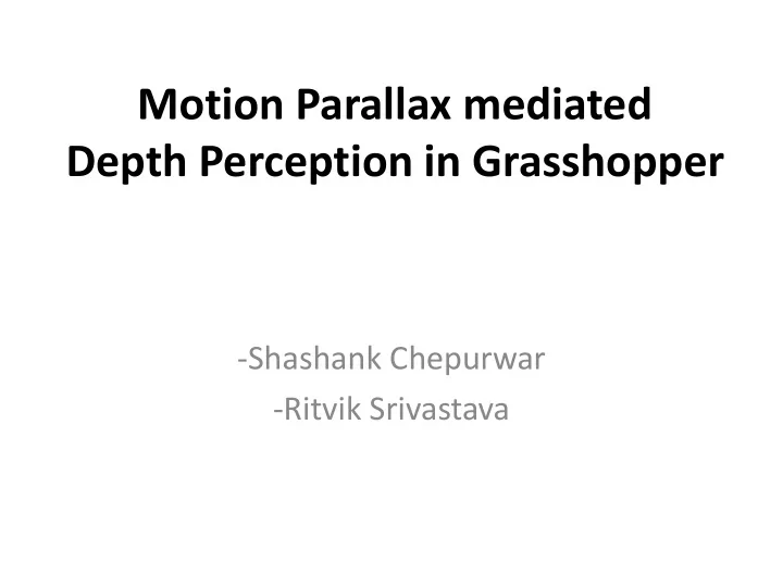 depth perception in grasshopper