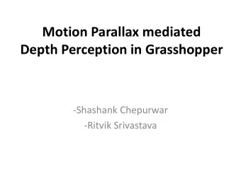 Depth Perception in Grasshopper  -Shashank Chepurwar  -Ritvik Srivastava  Grasshopper  -Agile