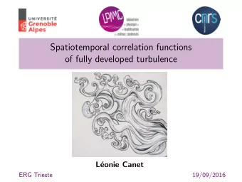 Spatiotemporal correlation functions  of fully developed turbulence  L  eonie Canet  ERG Trieste