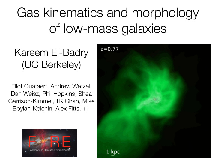 gas kinematics and morphology of low mass galaxies