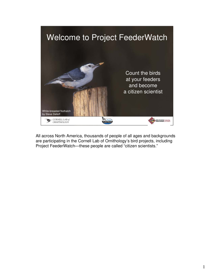 welcome to project feederwatch