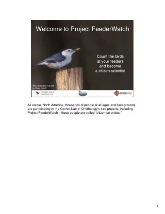 Welcome to Project FeederWatch  Count the birds  at your feeders  and become  a citizen scientist
