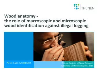 Wood anatomy -  the role of macroscopic and microscopic  wood identification against illegal