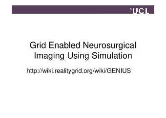 Grid Enabled Neurosurgical  Grid Enabled Neurosurgical  Imaging Using Simulation  g g  g