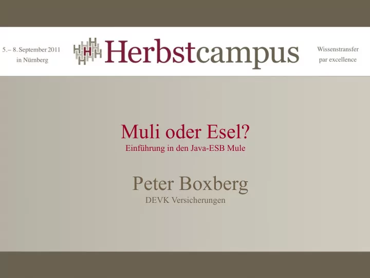 muli oder esel