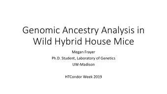 Genomic Ancestry Analysis in  Wild Hybrid House Mice  Megan Frayer  Ph.D. Student, Laboratory of