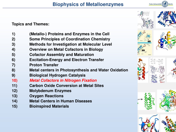 biophysics of metalloenzymes
