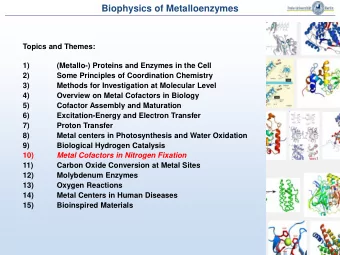 Biophysics of Metalloenzymes  Topics and Themes: (Metallo-) Proteins and Enzymes in the Cell  1)