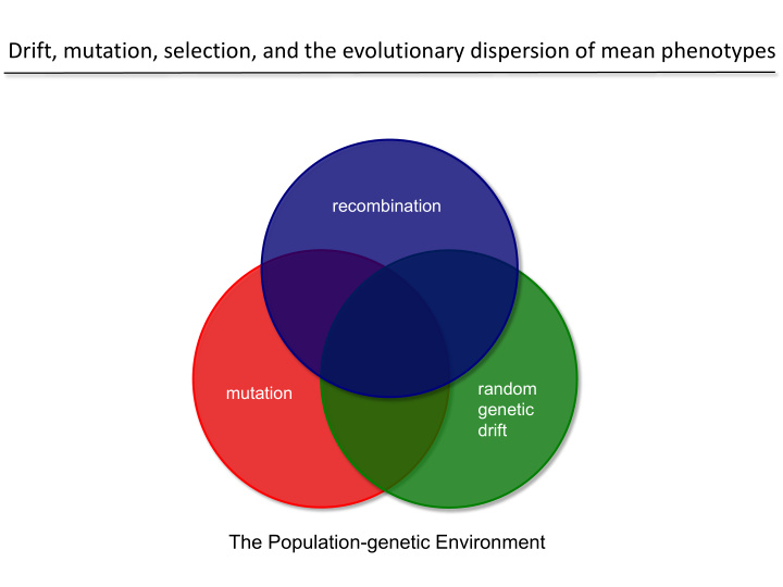 drift mutation selection and the evolutionary dispersion