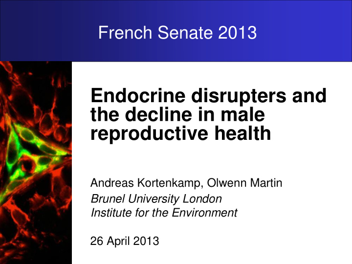 endocrine disrupters and the decline in male reproductive