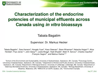 Characterization of the endocrine  potencies of municipal effluents across Canada using in vitro