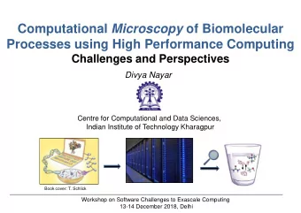 Processes using High Performance Computing  Challenges and Perspectives  Divya Nayar  Centre for