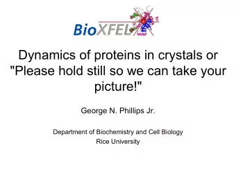 Dynamics of proteins in crystals or  &quot;Please hold still so we can take
