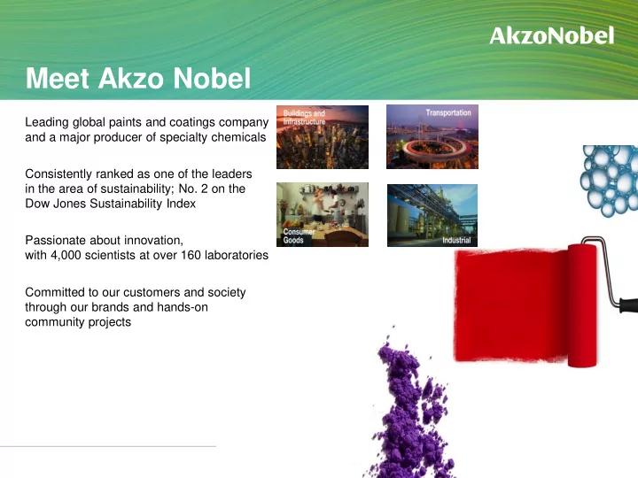 meet akzo nobel