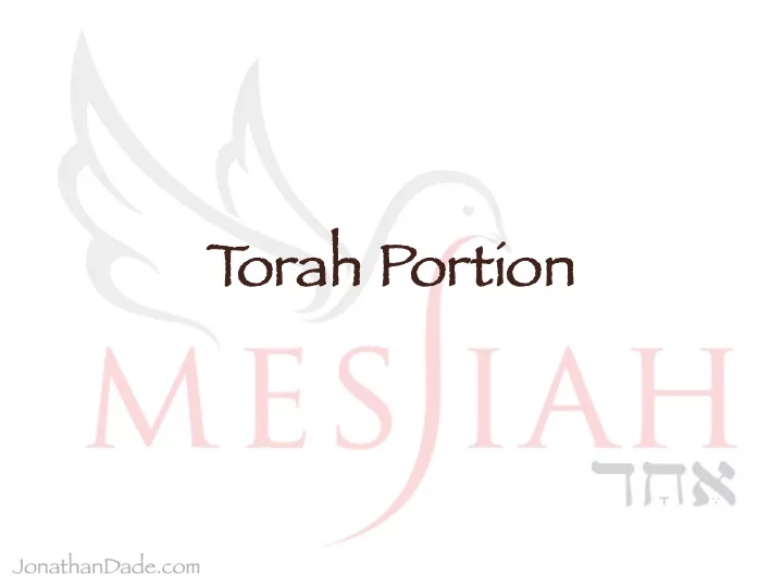 t t o orah portion outline of bamidbar