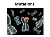 mutations what is a mutation