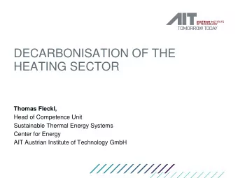 HEATING SECTOR  Thomas Fleckl,  Head of Competence Unit  Sustainable Thermal Energy Systems  Center