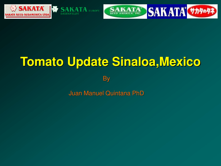 tomato update sinaloa mexico