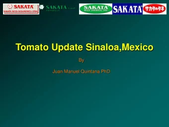 Tomato Update Sinaloa,Mexico  By  Juan Manuel Quintana PhD  AREAS DE PRODUCION  Bell  Indeterminate