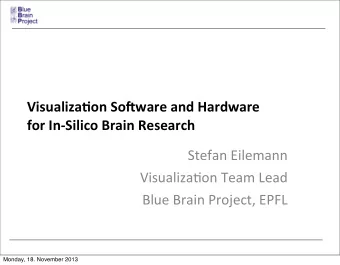 Visualiza(on  So-ware  and  Hardware  for  In-Silico  Brain  Research