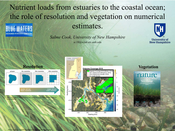 nutrient loads from estuaries to the coastal ocean the