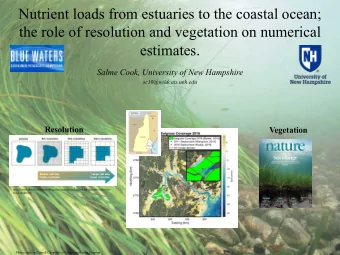 Nutrient loads from estuaries to the coastal ocean;  the role of resolution and vegetation on