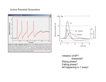 Action Potential Generation   Initiation of AP?  threshold?  Rising phase?  Falling phase?  All