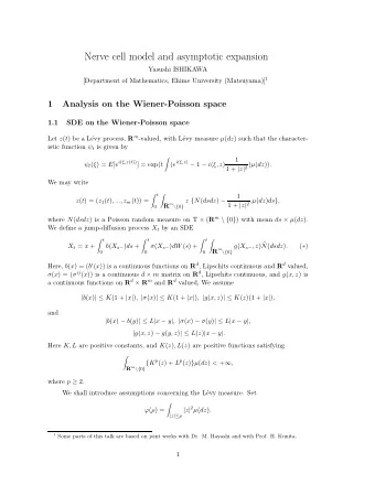Nerve cell model and asymptotic expansion  Yasushi ISHIKAWA [Department of Mathematics, Ehime