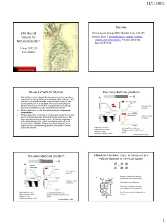11/11/2011  Reading  L44. Neural  Simmons and Young (2010) Chapter 7: pp. 104-125.  Borst A, Euler