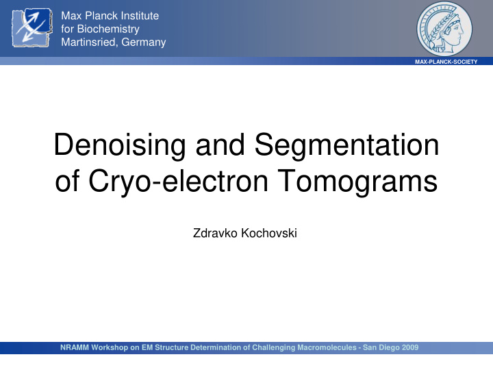 denoising and segmentation of cryo electron tomograms