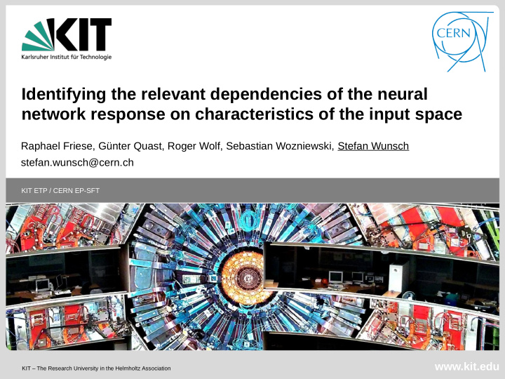identifying the relevant dependencies of the neural