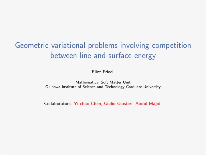 geometric variational problems involving competition