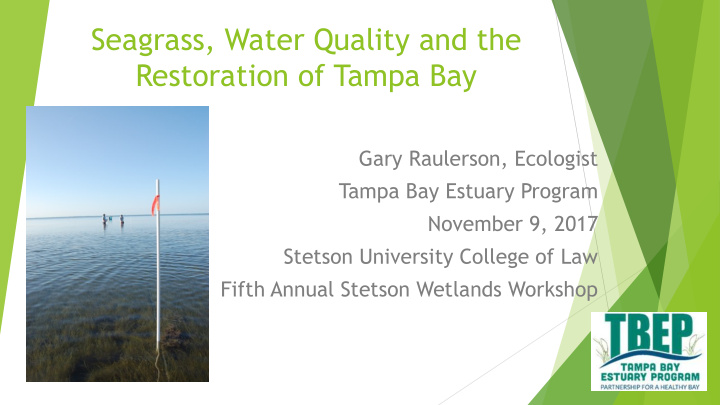 seagrass water quality and the restoration of tampa bay