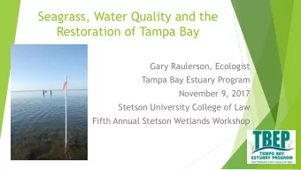 Seagrass, Water Quality and the  Restoration of Tampa Bay  Gary Raulerson, Ecologist  Tampa Bay