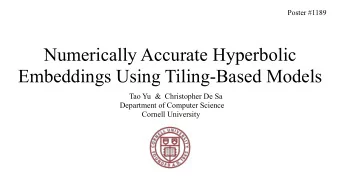 Numerically Accurate Hyperbolic  Embeddings Using Tiling-Based Models  Tao Yu  &amp;  Christopher